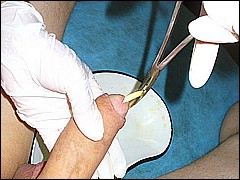 #3 Urethral Play Sample