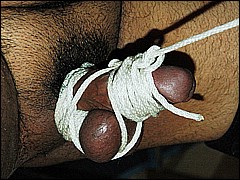 #6 Urethral Play Sample