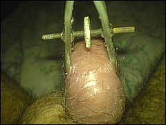 #1 Urethral Play Sample