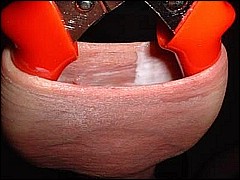 #5 Urethral Play Sample