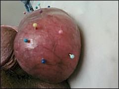 #4 Urethral Play Sample