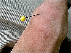 #5 Urethral Play Sample
