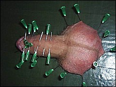 #1 Urethral Play Sample