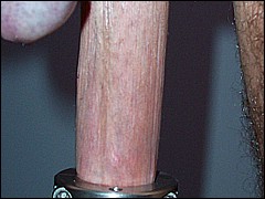#4 Urethral Play Sample