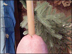 #6 Urethral Play Sample