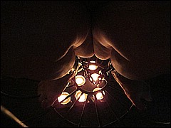 #1 Urethral Play Sample