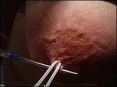 #6 Urethral Play Sample
