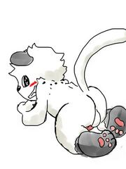 furry yiff