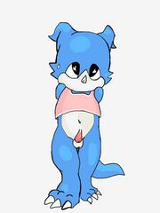 furry herm