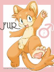 furry sex