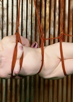 Dream Bondage Porn